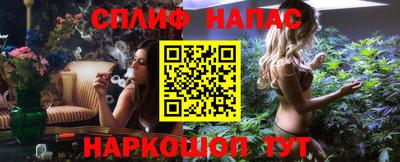 прущие грибы Чебоксары