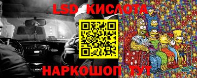 прущие грибы Чебоксары