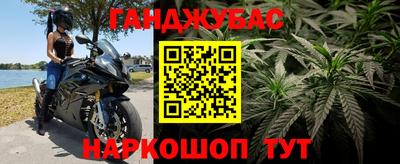прущие грибы Чебоксары