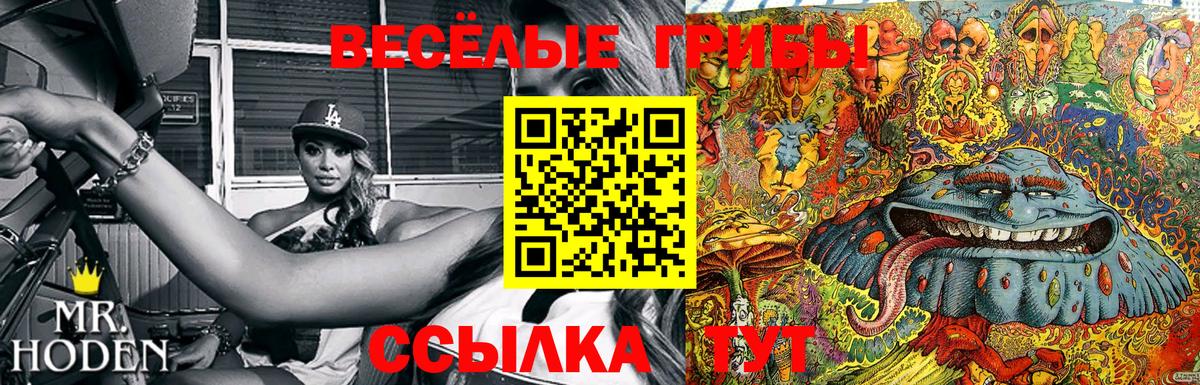 Псилоцибиновые грибы MAGIC MUSHROOMS Бийск