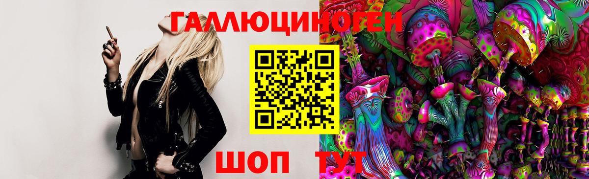 Бийск  Галлюциногенные грибы GOLDEN TEACHER  Вход с VPN 